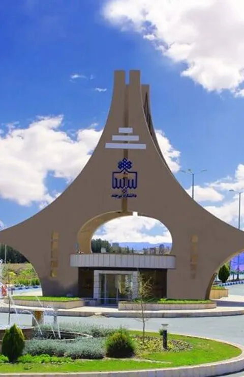 دانشگاه بیرجند