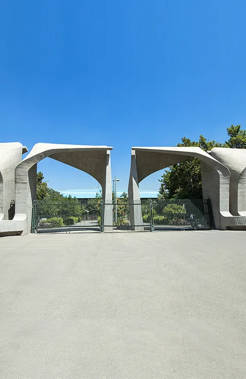 دانشگاه تهران