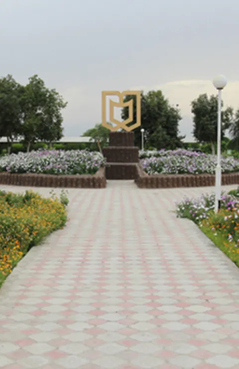 دانشگاه جیرفت