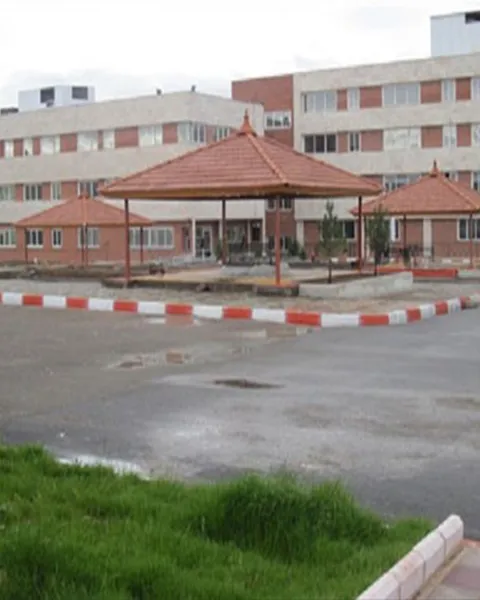 دانشگاه تربت حیدریه