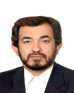 علی زنجانی حسنلویی
