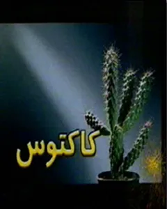 سریال کاکتوس