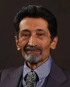 محمود فاطمی