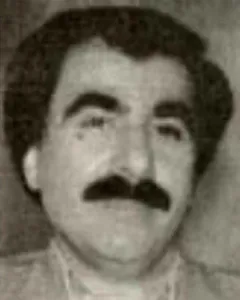 مهرزاد مینویی