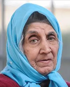 پروین میکده