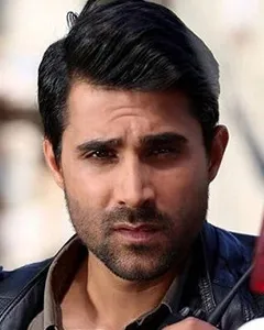 سیاوش گرجستانی