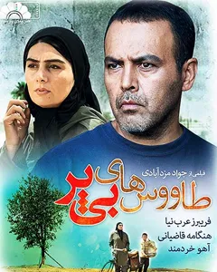 فیلم طاووس های بی پر