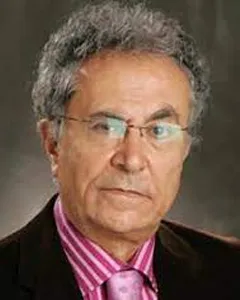 ایرج ادیب زاده